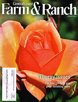 Spring 2013